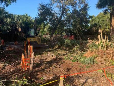 Clearing Trees