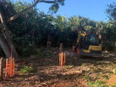 Grading Trees And Brush