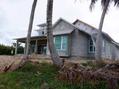 Home Palm Trees